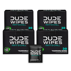 TRAVEL WIPES